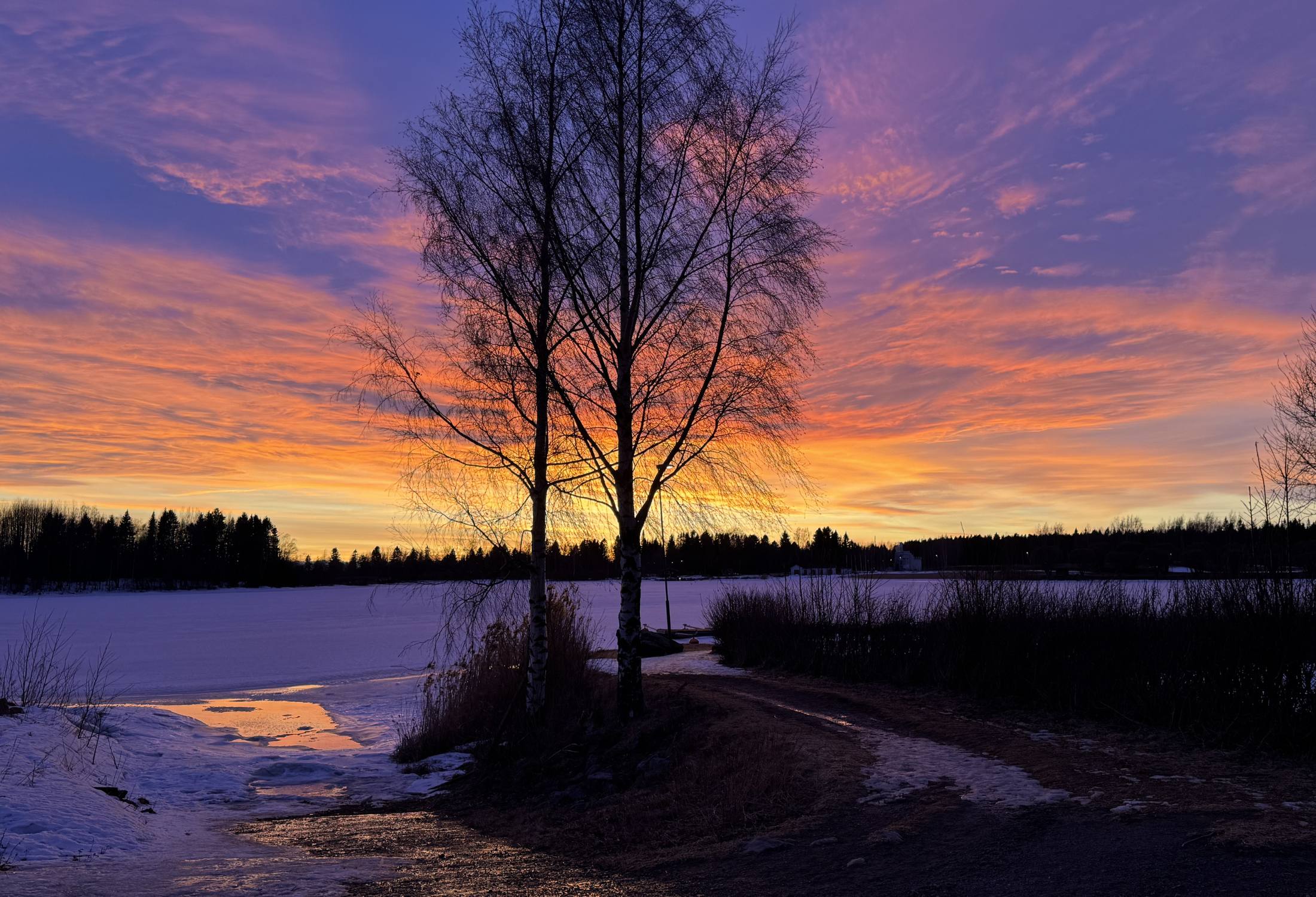 homepage-story-winter-light